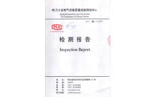 JOK-24-630-12 20 Cable Plug Report